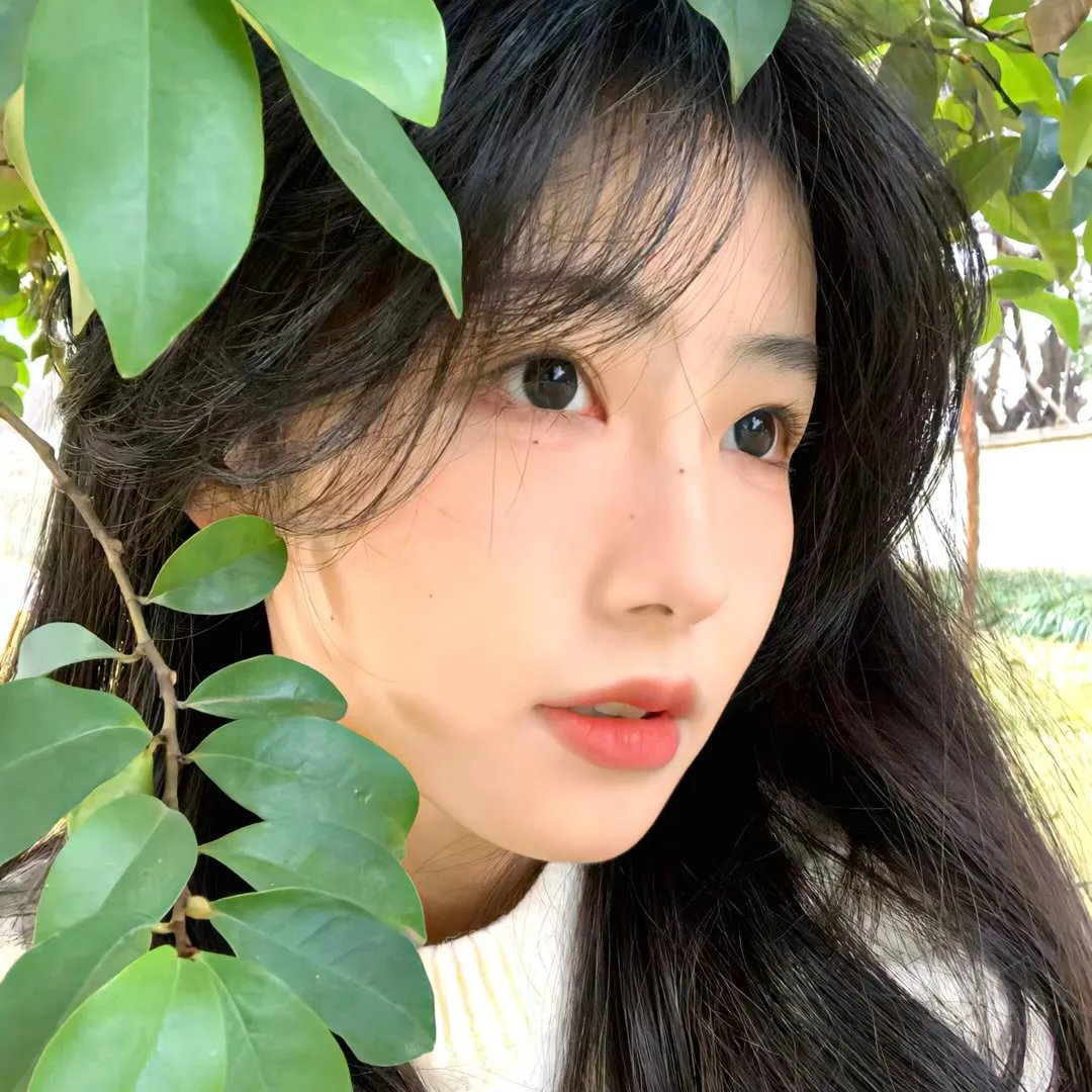 月上朝颜